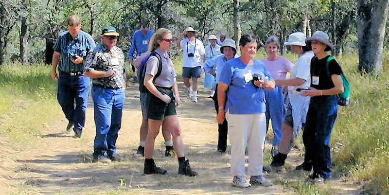 2004 SPCNI trek to Sequoia National Park