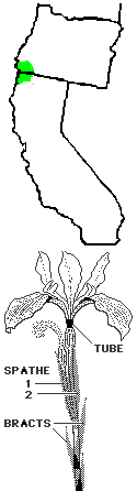 Siskiyou iris map and flower